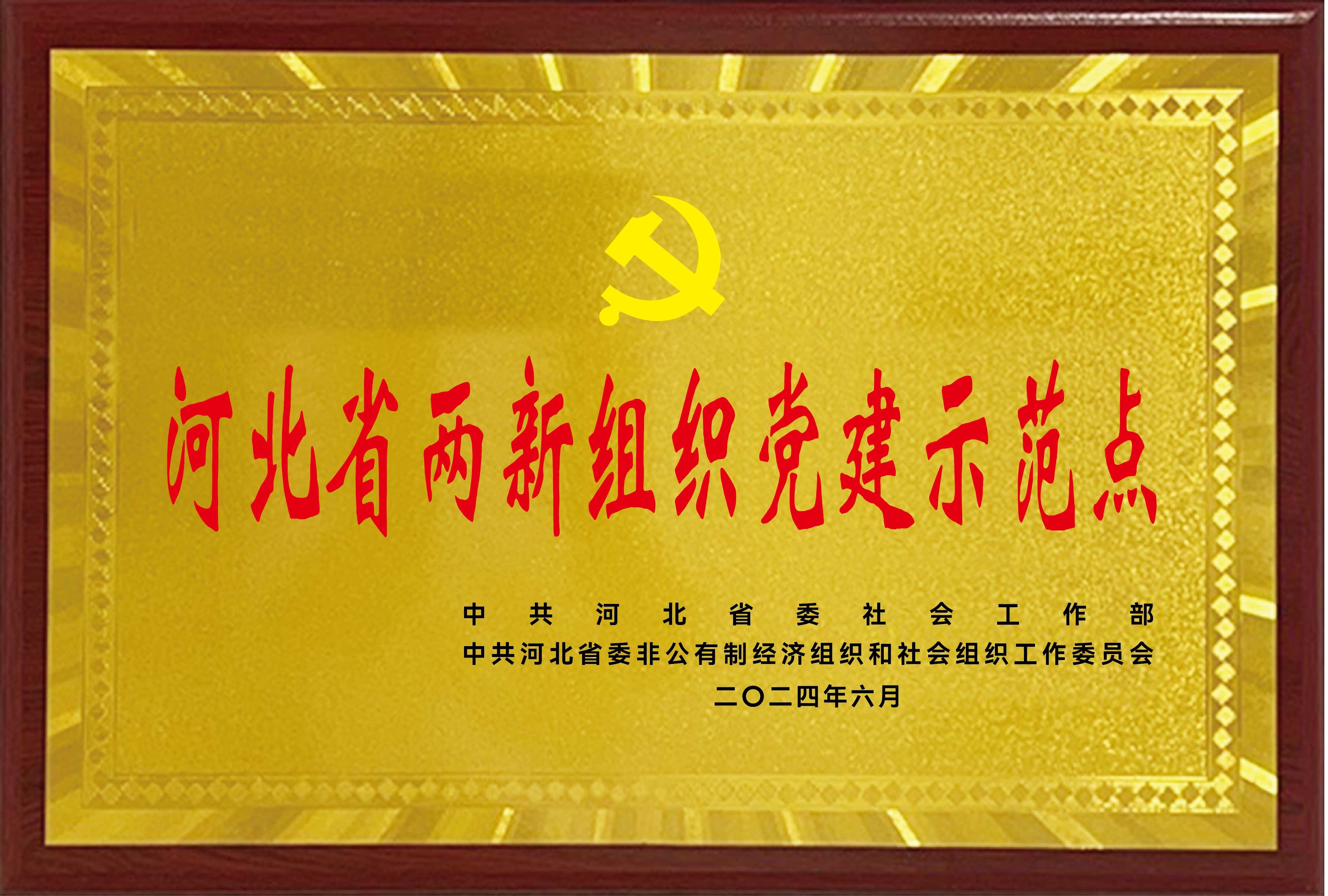 河北省两新组织党建示范点